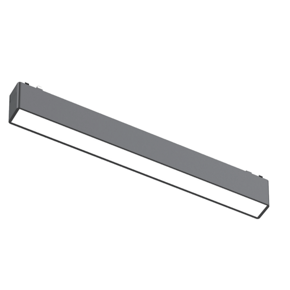 Magnetic Track Light