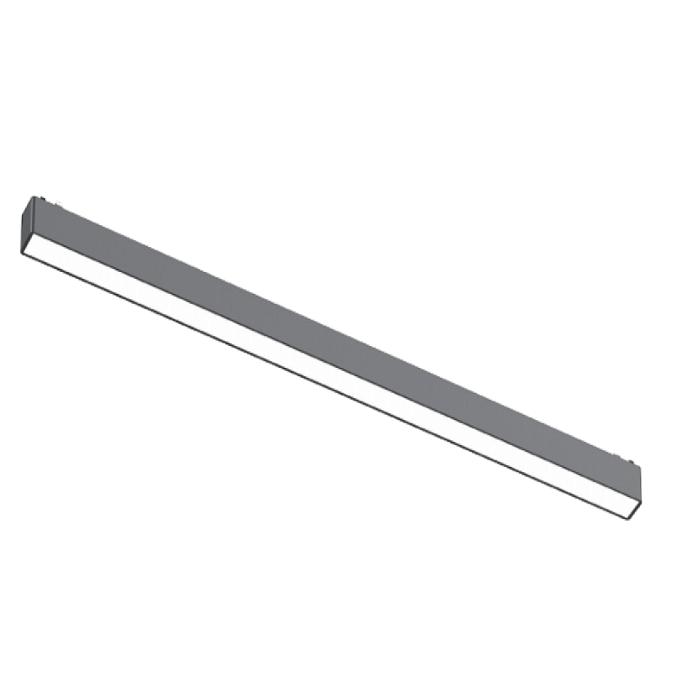 Magnetic Track Light
