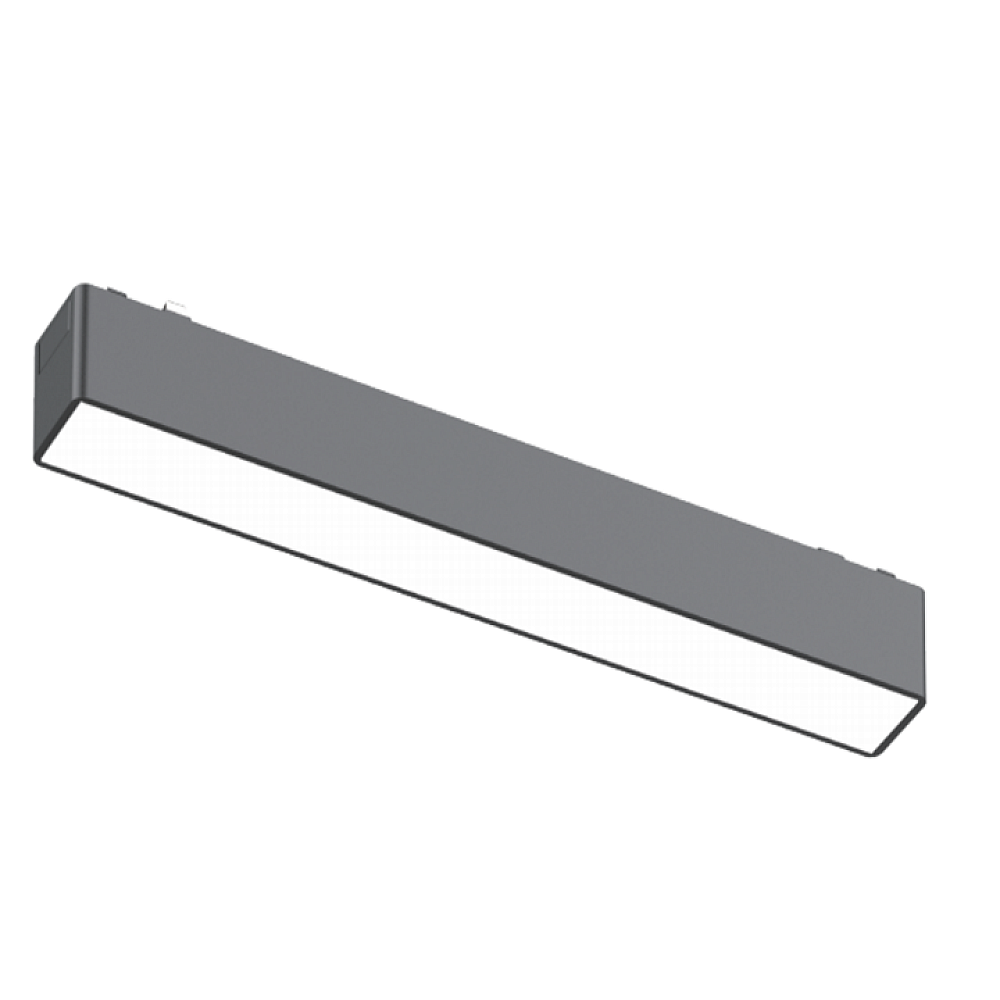 Magnetic Track Light